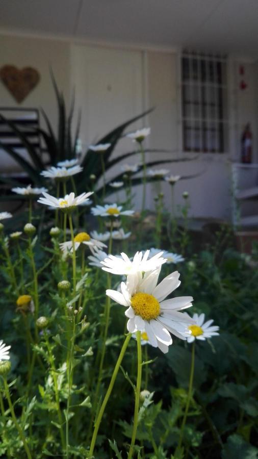 Country Lane Guesthouse Howick Eksteriør bilde